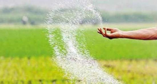 තවත් යූරියා තොගයක් ලබන මස මුල දිවයිනට..